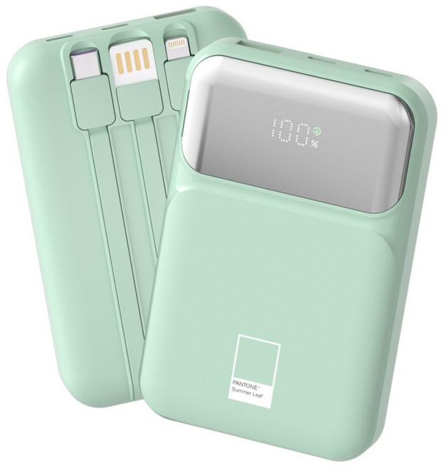 팬톤 PD 22.5W 초고속충전 대용량 케이블 일체형 미러 보조배터리 10000mAh PGB-20, Summer Leaf