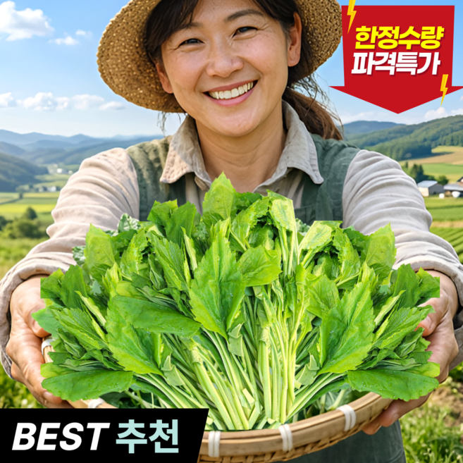 [제철한정] 입맛돋는 국내산 부지깽이 울릉도취나물, 400g, 1개