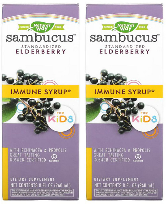 2개 Natures Way 삼부커스 포 키즈 어린이 엘더베리 시럽 240 ml, 240ml