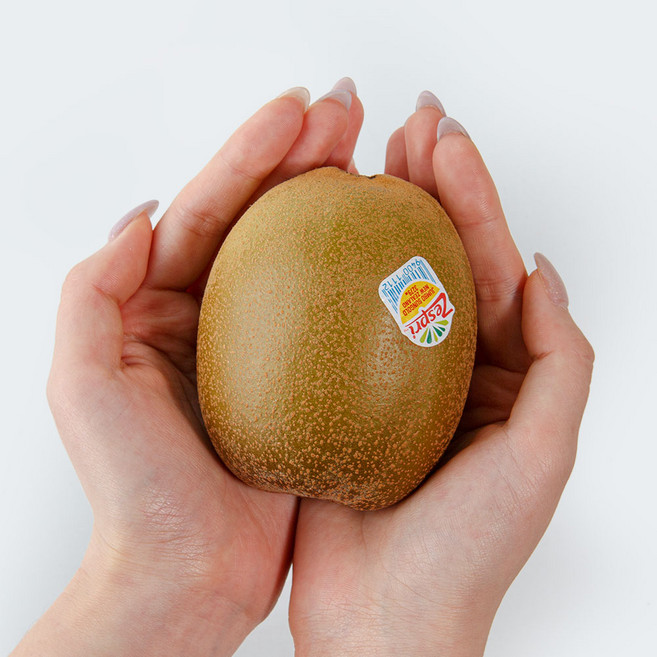 제스프리 골드키위 자이언트 점보 썬골드키위, 1개, 골드키위 자이언트 2.2kg (9~12입)