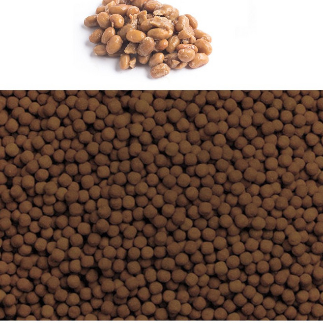 청명 청국장환(국내산 5kg), 5kg