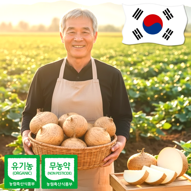 [대한민국최초] 무농약인증 멕시코감자 국내산 히카마, 1박스, 5kg