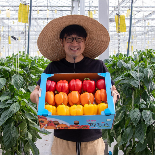 [선웰빙] 프리미엄 최상급 고당도 파프리카 산지직송 1.5kg 3kg 5kg, 1개, 빨강