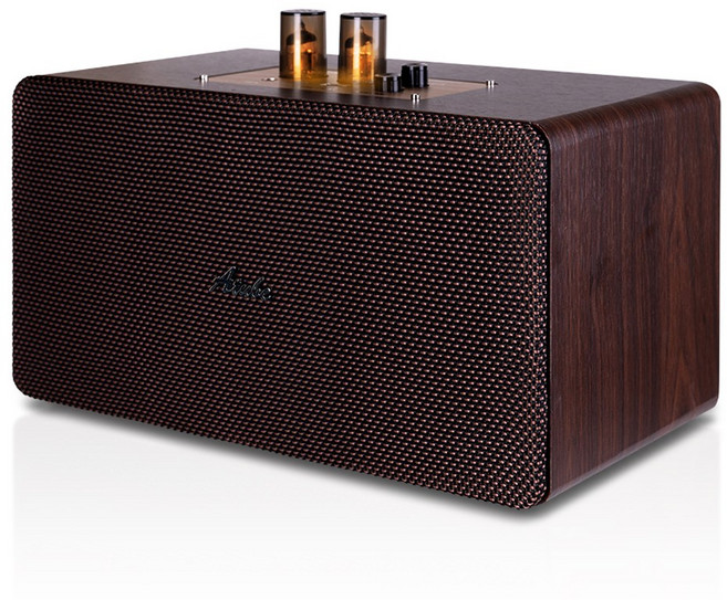 에이튜브 A801RV 하이브리드 진공관 스피커