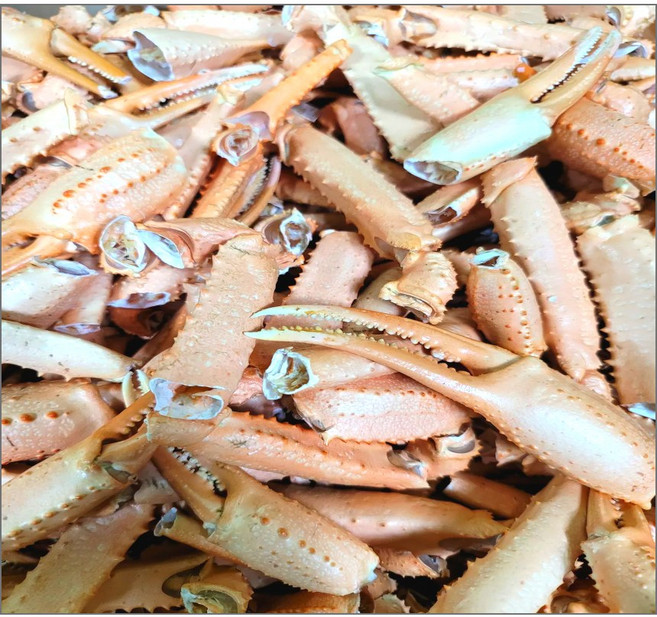 해각포 동해안 건조 홍게 다리, 3개, 육수용집게다리해각포