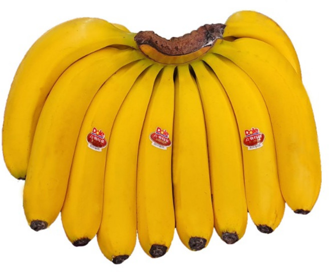 스위티오 바나나 2.5kg내외 고당도바나나, 1개