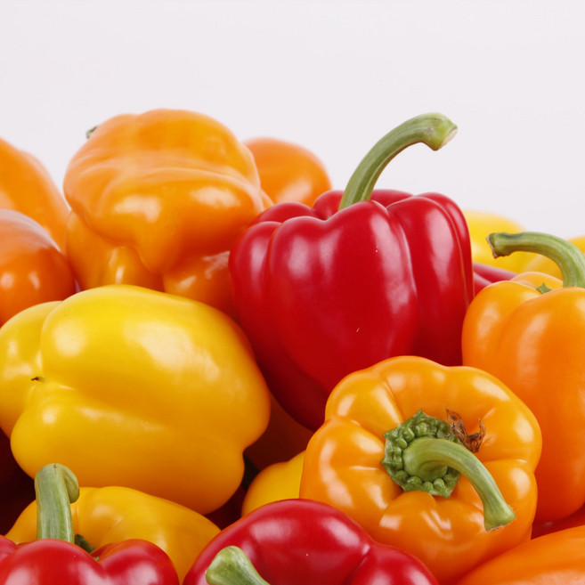 산지직송 국내산 파프리카 빨강 노랑 주황 혼합, 1박스, 파프리카 1kg