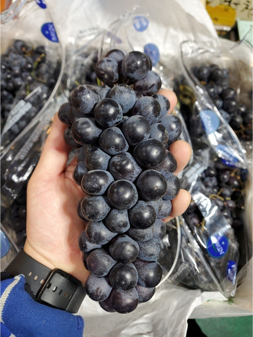 고당도 수입 까망이 블랙 세이블 포도 1kg, 1개