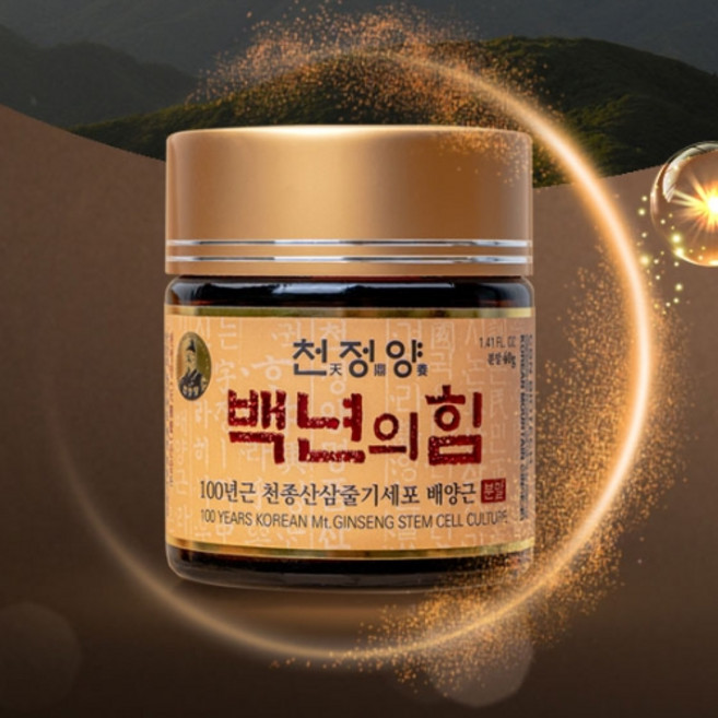 더바른식품 산삼 배양근 40g 100년근 천종 산삼배양근 줄기세포 배양 산삼 분말, 1개