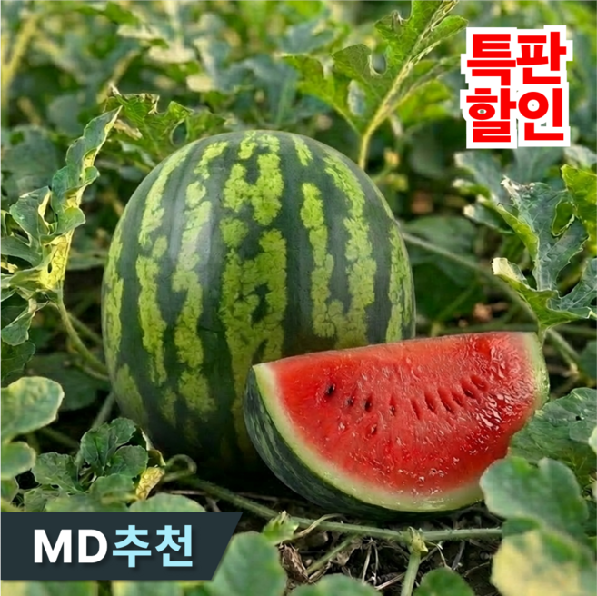 [한정특가] 재구매1위 아삭고당도 하우스 수박, 2박스, 4kg 이하