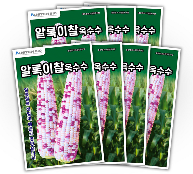 주주씨앗 알록이찰옥수수 씨앗 150립 얼룩찰옥수수 씨앗 다수확 통큰 옥수수, 7개
