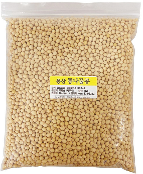 제주 콩나물콩 25년산 발아율최고 무농약 풍산품종 햇콩 낫토용콩, 5개, 1kg