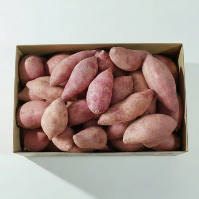 레드이츠 중사이즈 고구마 해남 꿀고구마, 1개, 3kg