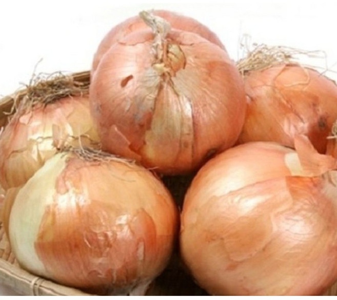 아빠의 마음 26년 햇양파 (소/장아찌용), 1개, 10kg