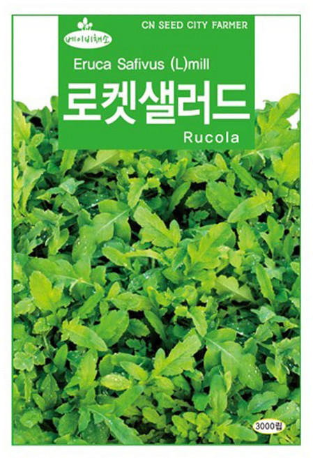 베이비 씨앗 샐러드용 어린잎 채소 로켓샐러드 3000립, 1개