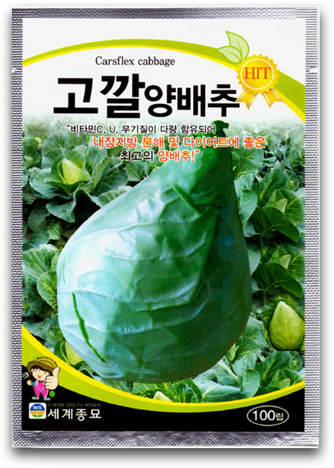 모칸도 세계 고깔양배추 씨앗 100립, 1개