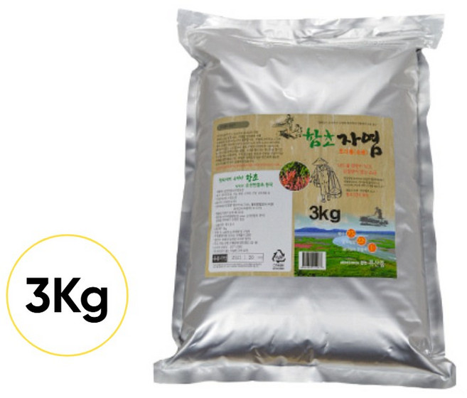 무농약 저염 순천만 함초 자염 소금 함초 분말 미네랄 감칠맛 단맛, 3kg, 1박스