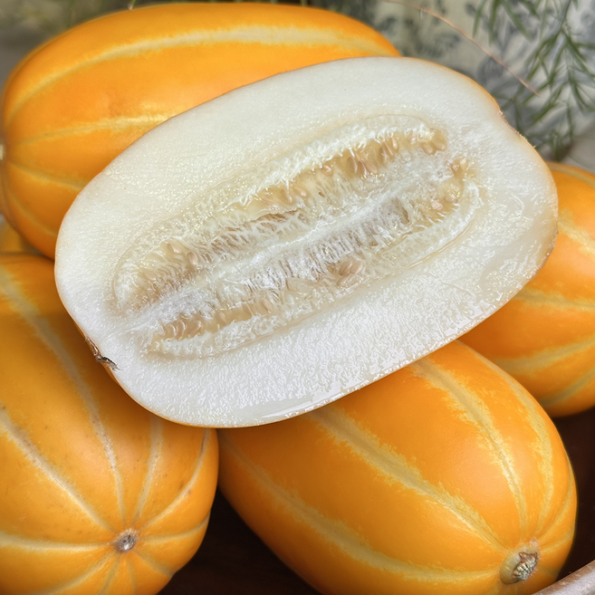 [현지직송]2026년 첫 수확 제철 고당도 성주 참외, 1박스, 3Kg_로얄중과