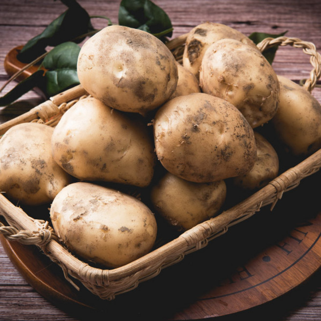 포슬포슬 유기농 강원도 홍천 수미감자, 홍천 유기농 수미감자 5kg ,1개입, 1박스