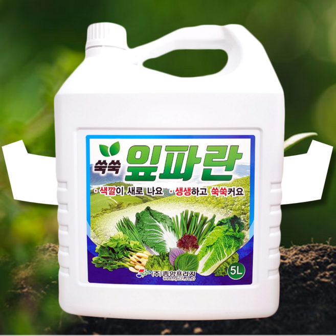 쪽파 대파 비료 영양제 아미노산 액비 동물성 부추비료영양제 시금치 고추 상추 비료 텃밭 수박 멜론 오이 잎끝마름 예방 쑥쑥 잎파란 5L 50말용, 1개, 쑥쑥잎파란 5L