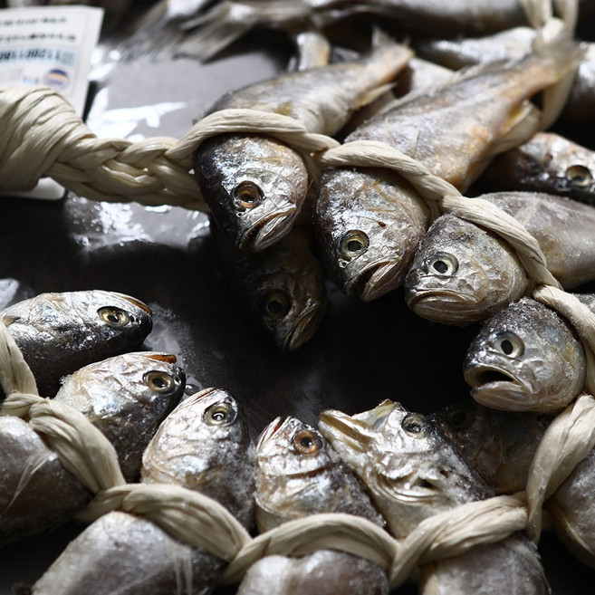 영광 법성포 굴비 진공포장 20미 가정용, 1박스, 1.8kg 20미(19-20cm)