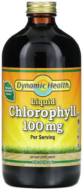 Dynamic Health Laboratories 액상형 엽록소 스피어민트 100mg 473ml(16fl oz), 473ml, 1개 - 쿠팡