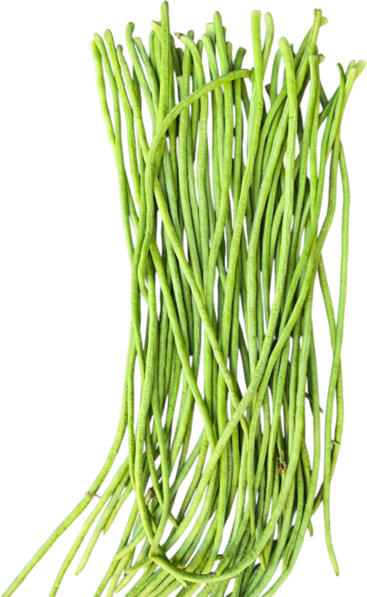 줄콩/롱빈 Dau dua 1kg 아시아 농장 송소희, 1개