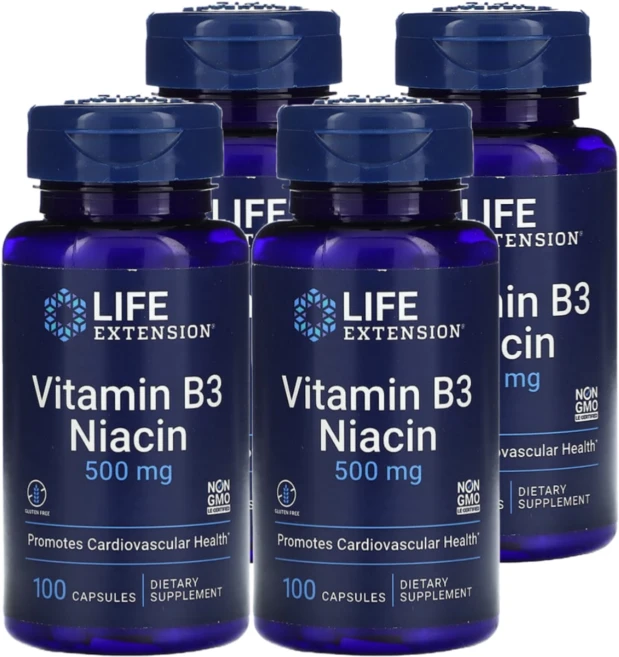 라이프익스텐션 비타민 B3 니아신 500 mg 100 캡슐 X 4, 100정, 4개 - 쿠팡