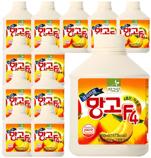 차그림 과일 원액 프리미엄 망고 F4, 12개, 850ml