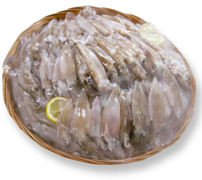 통째 먹는 총알한치 고단백 손질 한치, 1박스, 1.2kg