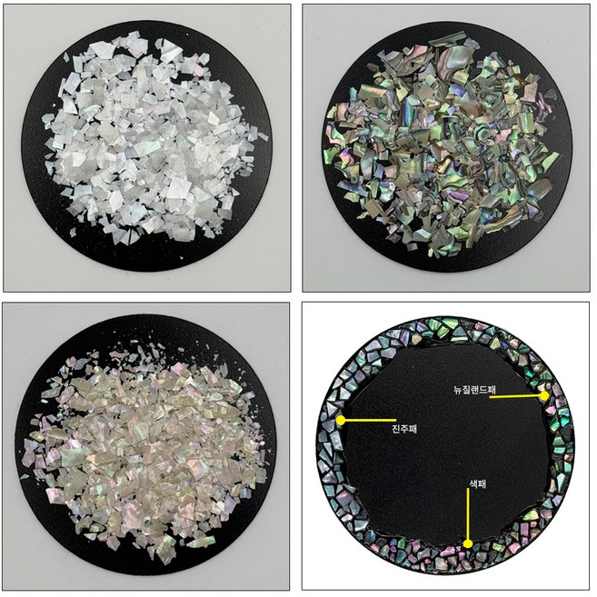 블랑드쉘 프리미엄 네일 조각 자개 10g, 진주패, 1개