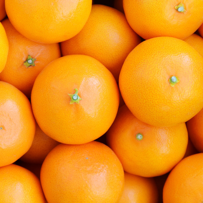 새콤달콤한 제주 천혜향 천혜귤, 1박스, 5kg 꼬마소과(2S-M)