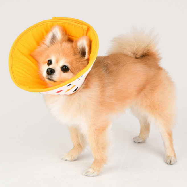 올치 강아지 초경량 디어 방수 가벼운 넥카라, 크림, 1개