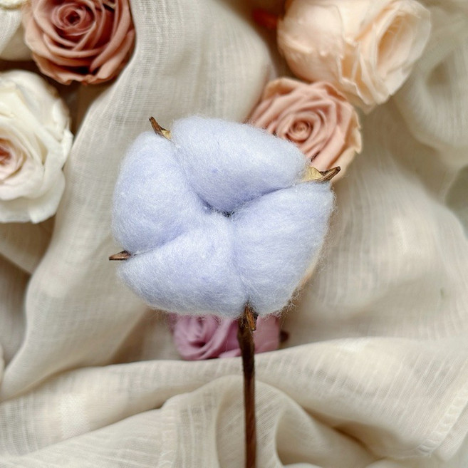 乾燥花棉花頭 天然棉花 永生花乾燥花材 聖誕裝飾 藤圈配件 禮物, 02紫藍藍