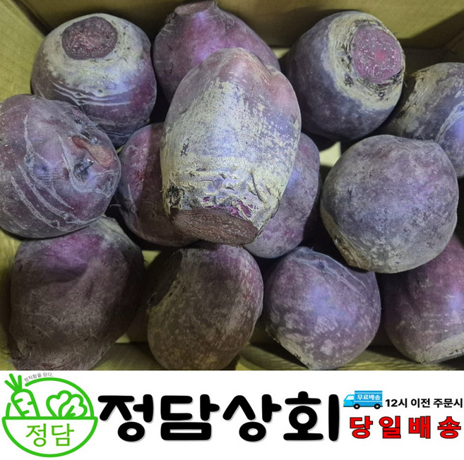 [ 정담상회 ] 국내산 햇 비트 빨간무 레드비트 3kg 5kg 10kg 내외, 1박스