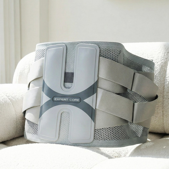 이고진 엑스코어 허리보호대