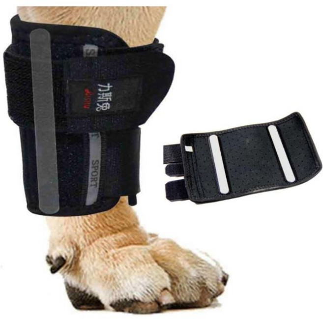 11760989 무릎 보호대 압박 밴드 지지대 고정 nikka 일화 반려견용 관절 프로텍터 앞발 서포터 손목 알루미늄 스테이 내장 반려동물용 발목 재활 XL 사이즈