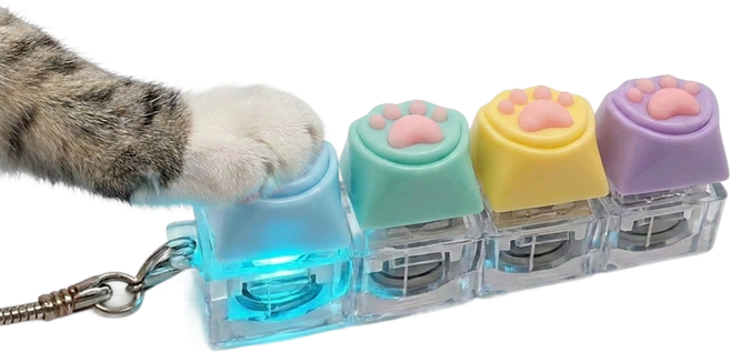 냥냥발 귀여운 고양이 LED 키캡 키링 4구, 1개, 컬러