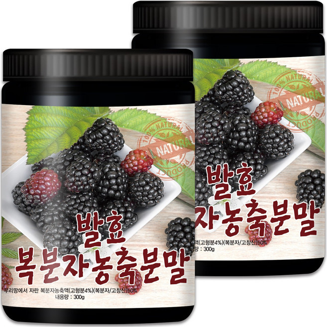 산들약초 발효복분자농축분말 국산 고창산 복분자, 2개, 300g