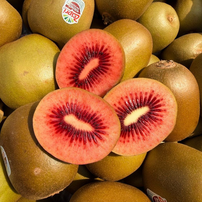 맛통령 루비 레드키위, 1박스, 레드키위 2kg 대과(16-20과)