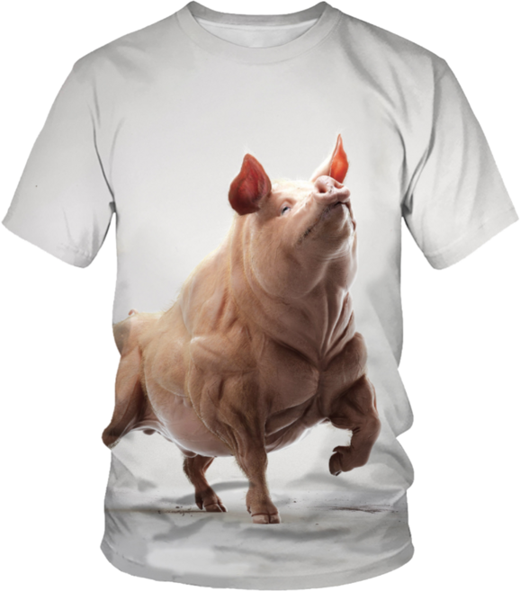 돼지 티셔츠 웃긴티셔츠 동물티 쓸데없는선물 우정티 반티