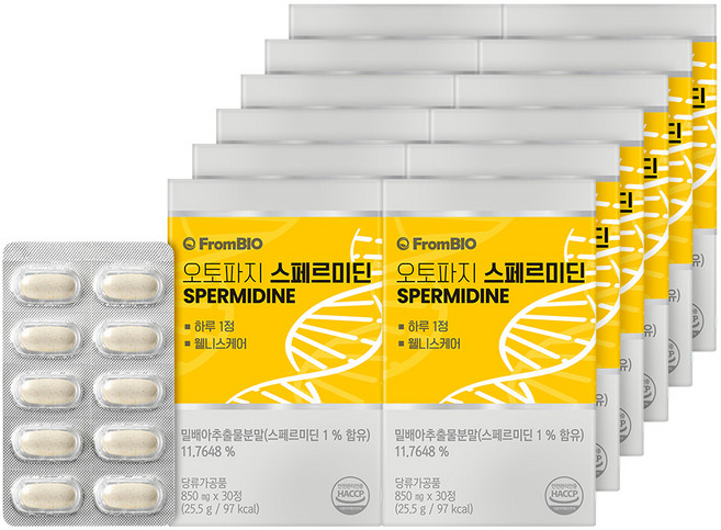 쿠팡옵션_오토파지 스페르미딘, 30정, 12개