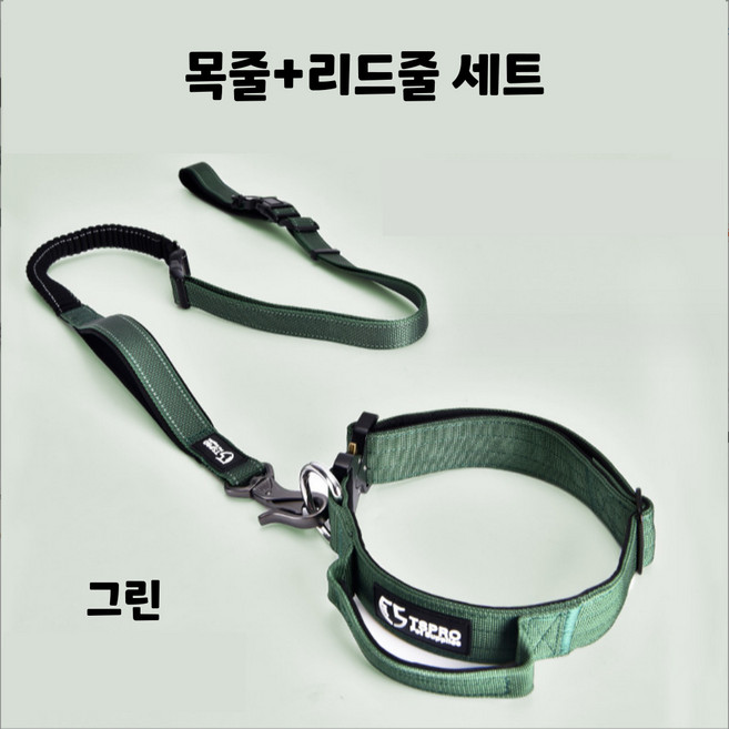 펫텐 대형견 리트리버 진도개 (400kg 이탈방지 가능) 목줄+리드줄 (1세트), 1, 그린