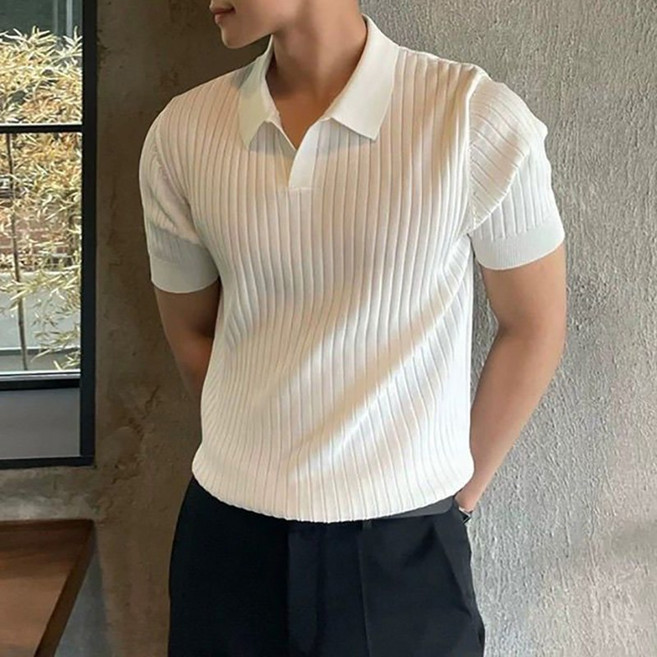 카라넥 반팔 니트티 남성복 캐주얼 상의 골지 니트 티셔츠 얇은 여름 패션 심플 통근 오피스룩 빅사이즈