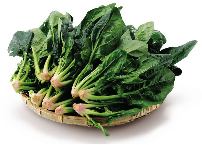 달쿵 국내산 시금치 신선하고 맛있는 시금치, 1박스, 4kg