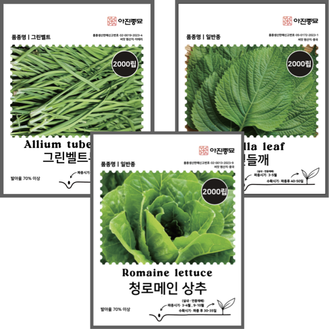 [주주씨앗] 1+1+1 잎채소씨앗 3종세트 청로메인 잎들깨 그린벨트부추 씨앗 아진종묘 쌈채소씨앗 봄 가을 연중 파종 작물, 1개