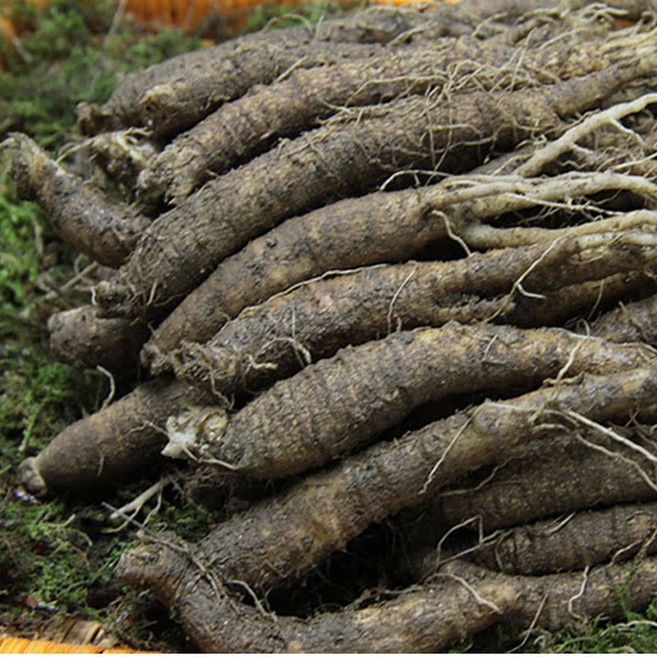 가정용구이더덕 세척 더덕(중)1kg, 1개, 1kg