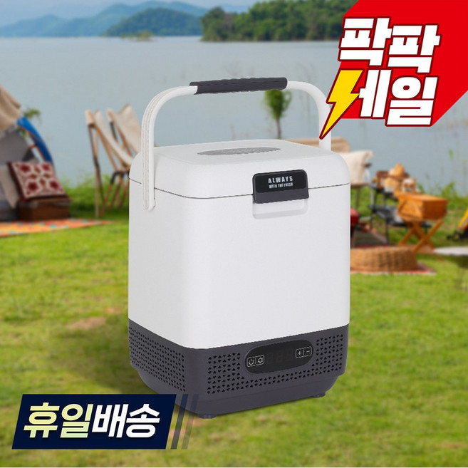 REINA 캠핑용 차량용 냉장고 냉동고 RL-1212, 혼합색상, 12L