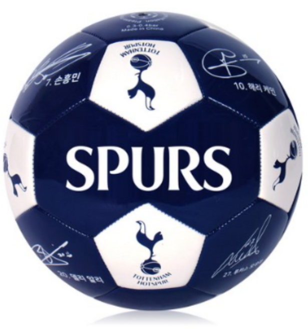 비바스포츠 토트넘홋스퍼 사인 축구공 TT 네이비, 5호 (TT04), 1개