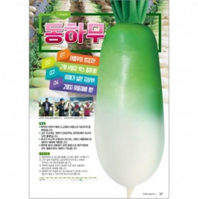 아시아종묘 씨앗 무 동하무 1000립, 1개